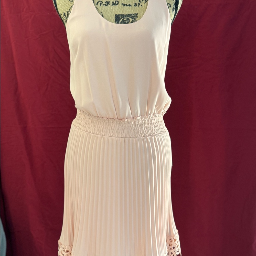 Express Blush/Pale Pink Pleated Midi Dress